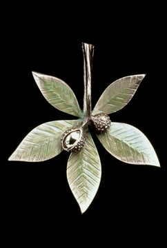 Buckeye Door Knocker