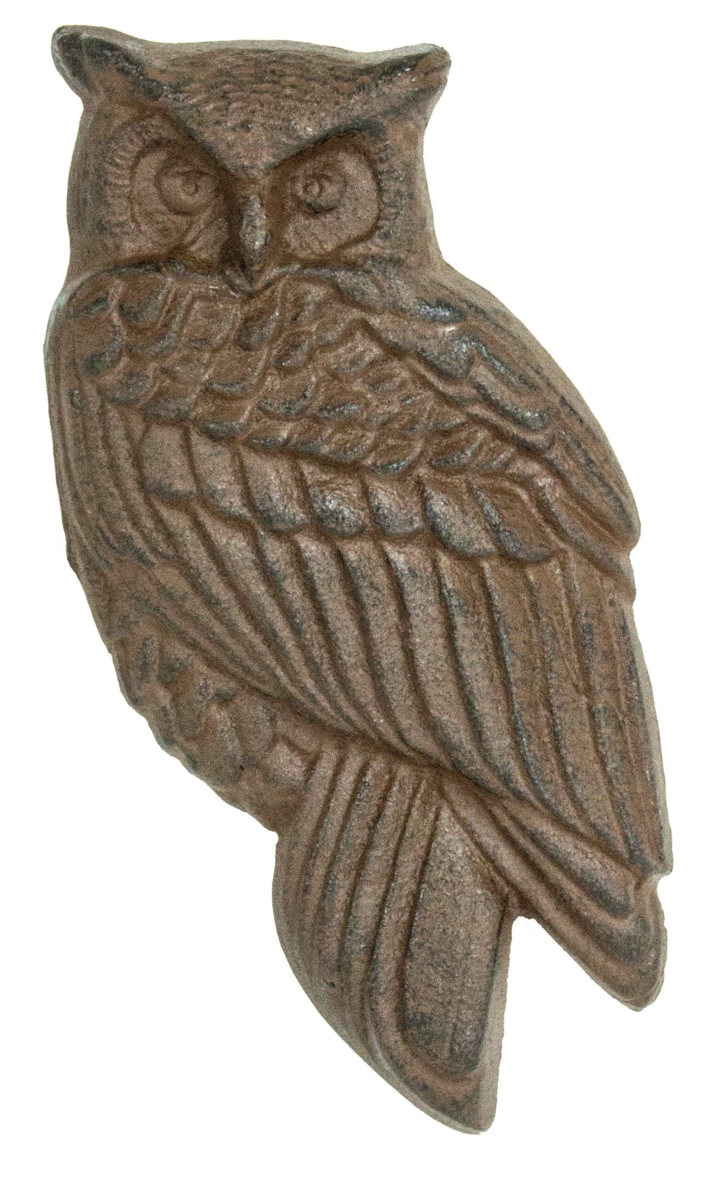Rusted Owl Door Knocker