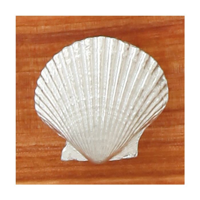 Scallop Shell Cabinet Knob