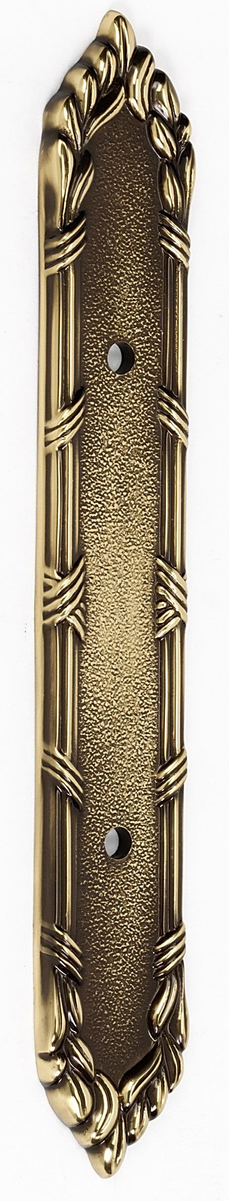 Polished Antique Ornate Pull Backplate 3"