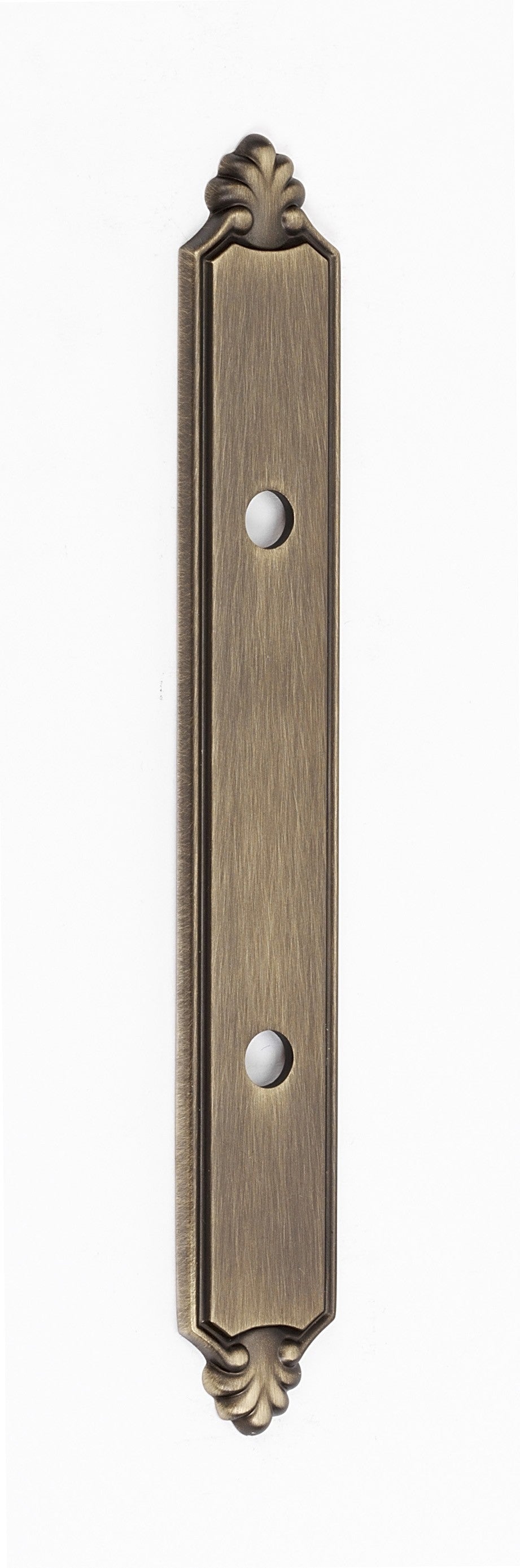 Antique English Matte Victorian Pull Back Plate