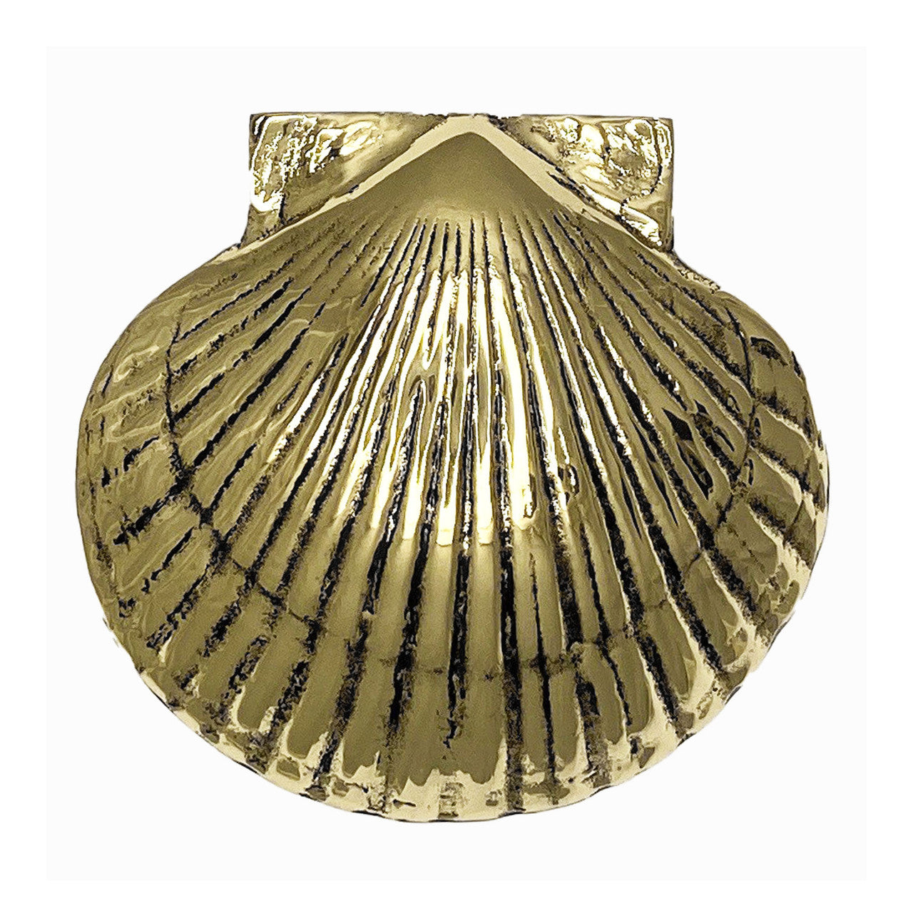 Scallop Door Knocker (Multiple Finishes)
