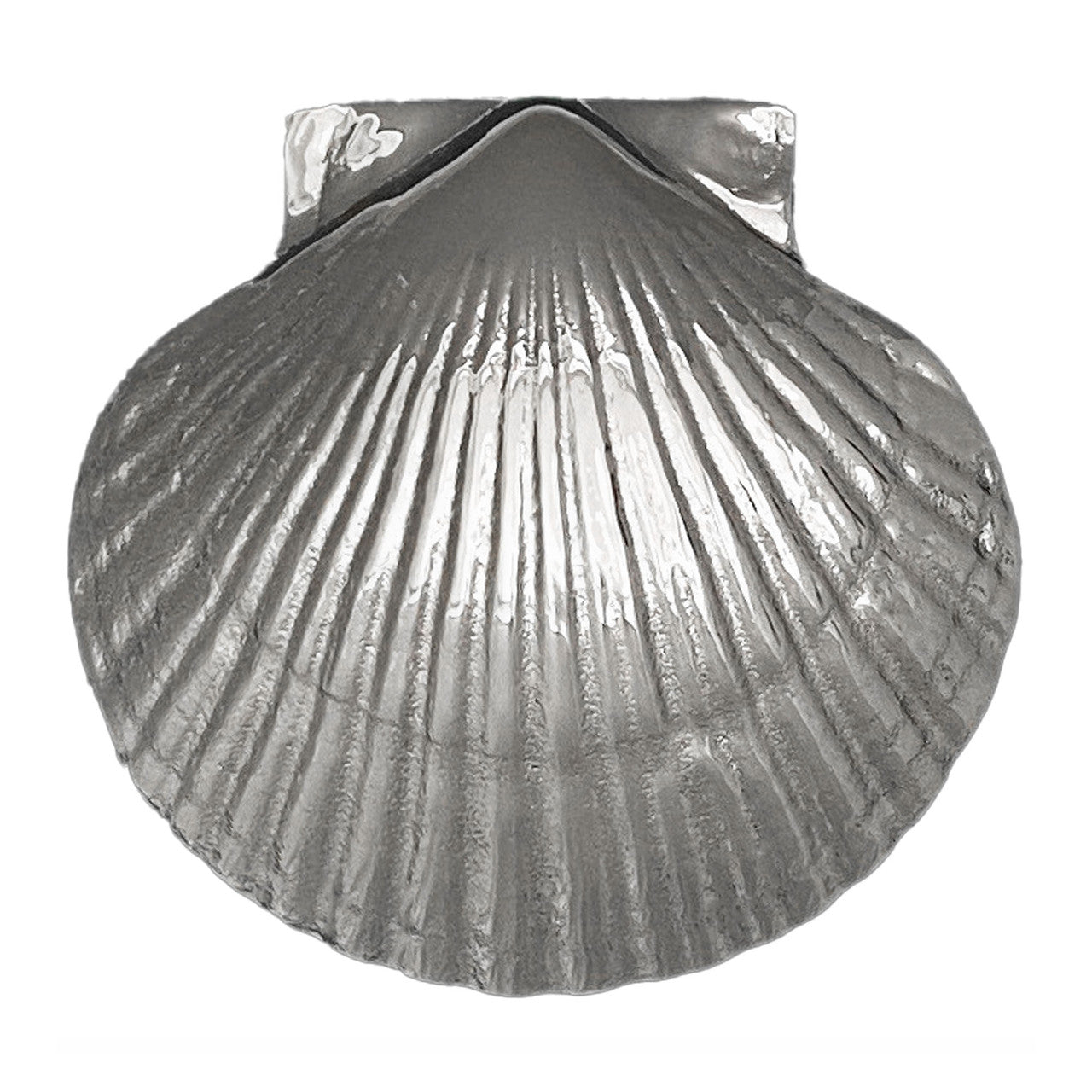 Scallop Door Knocker (Multiple Finishes)