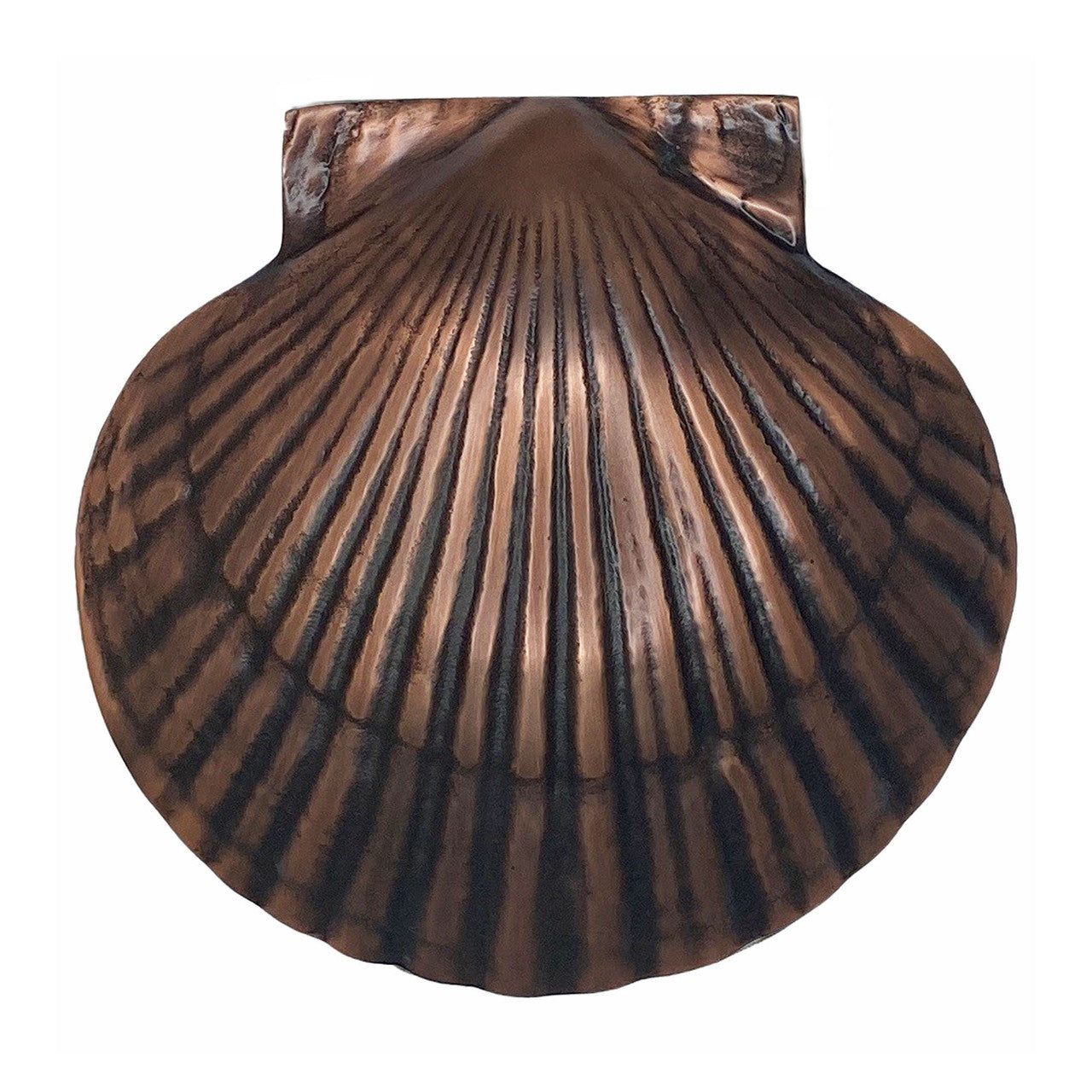 Scallop Door Knocker (Multiple Finishes)