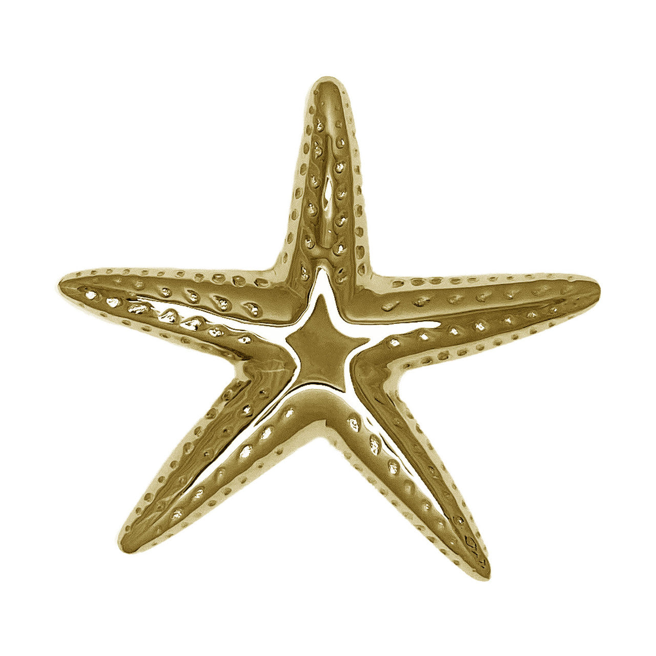 Starfish Door Knocker