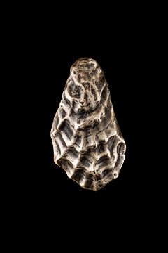 Oyster Door Knocker