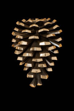 Pine Cone Door Knocker