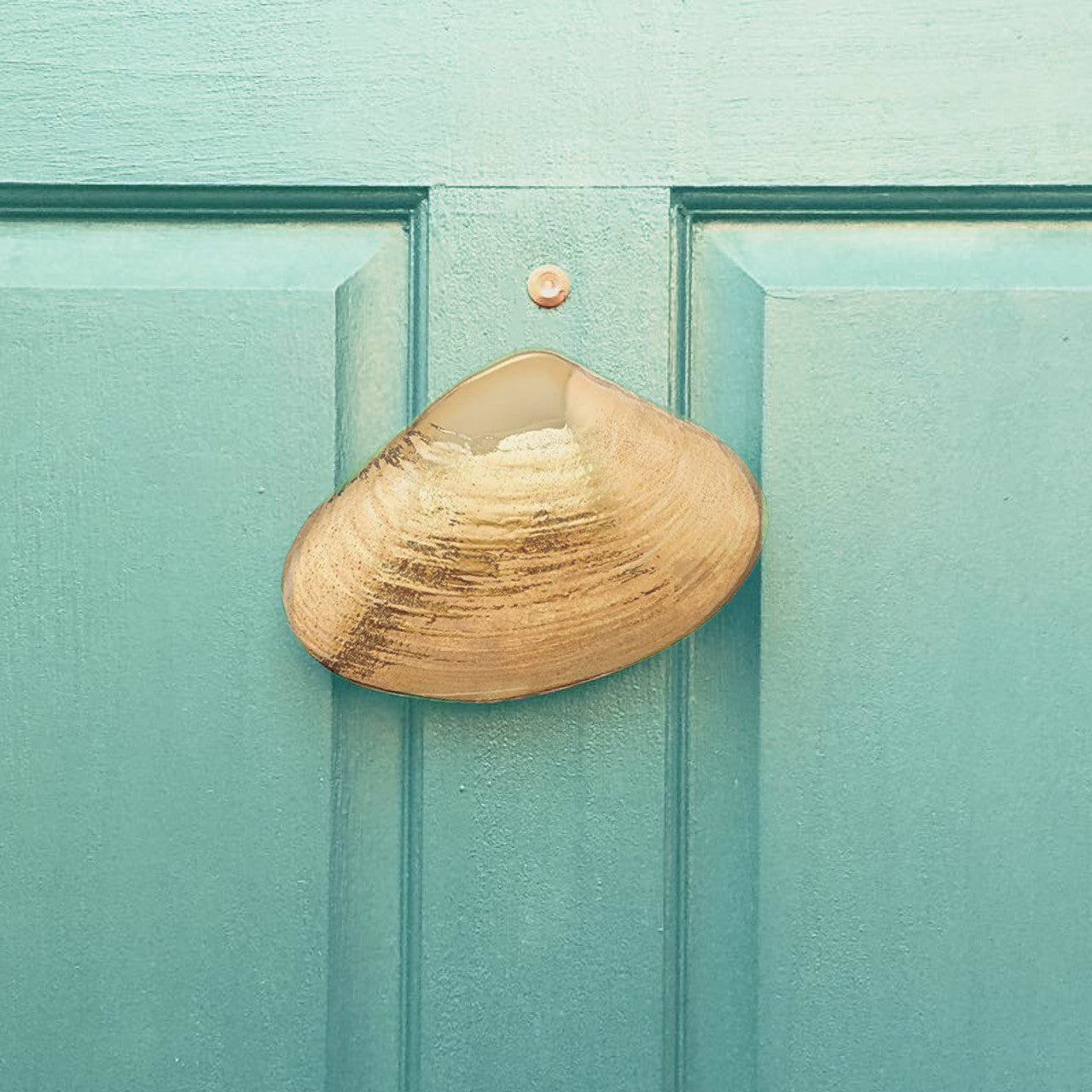 Surf Clam Door Knocker