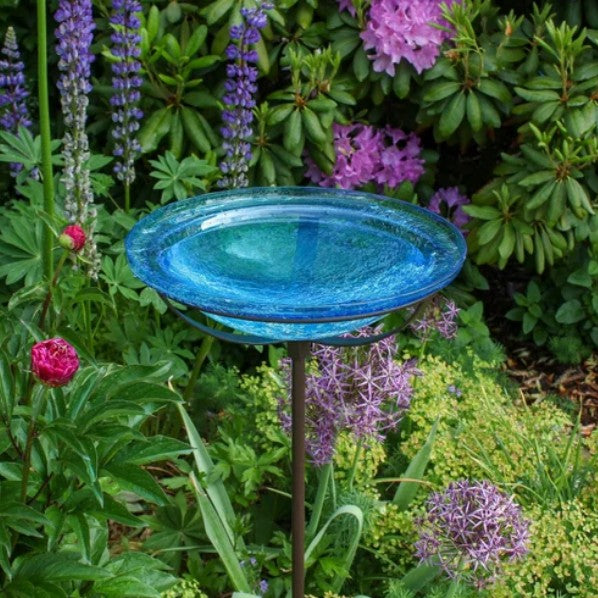 Glass Bird Bath With Stand