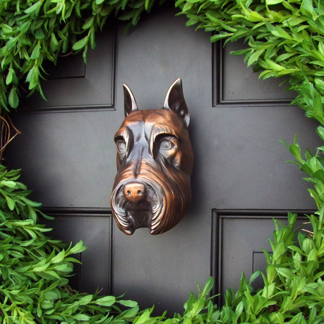 Michael Healy Schnauzer Door Knocker Bronze
