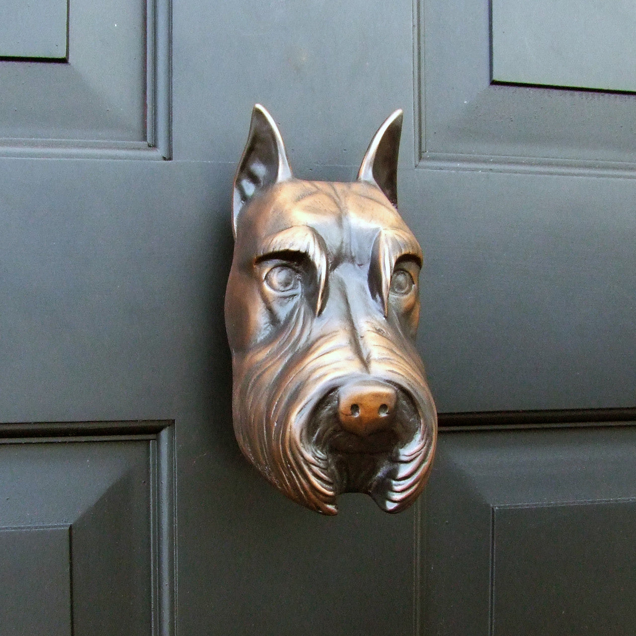 Michael Healy Schnauzer Door Knocker Bronze