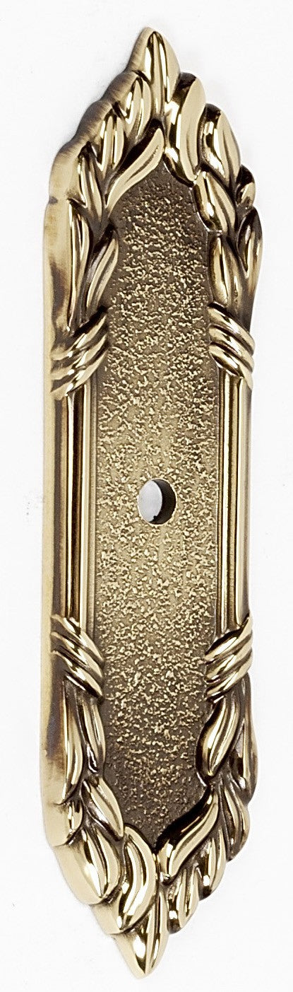 Polished Antique Ornate Backplate