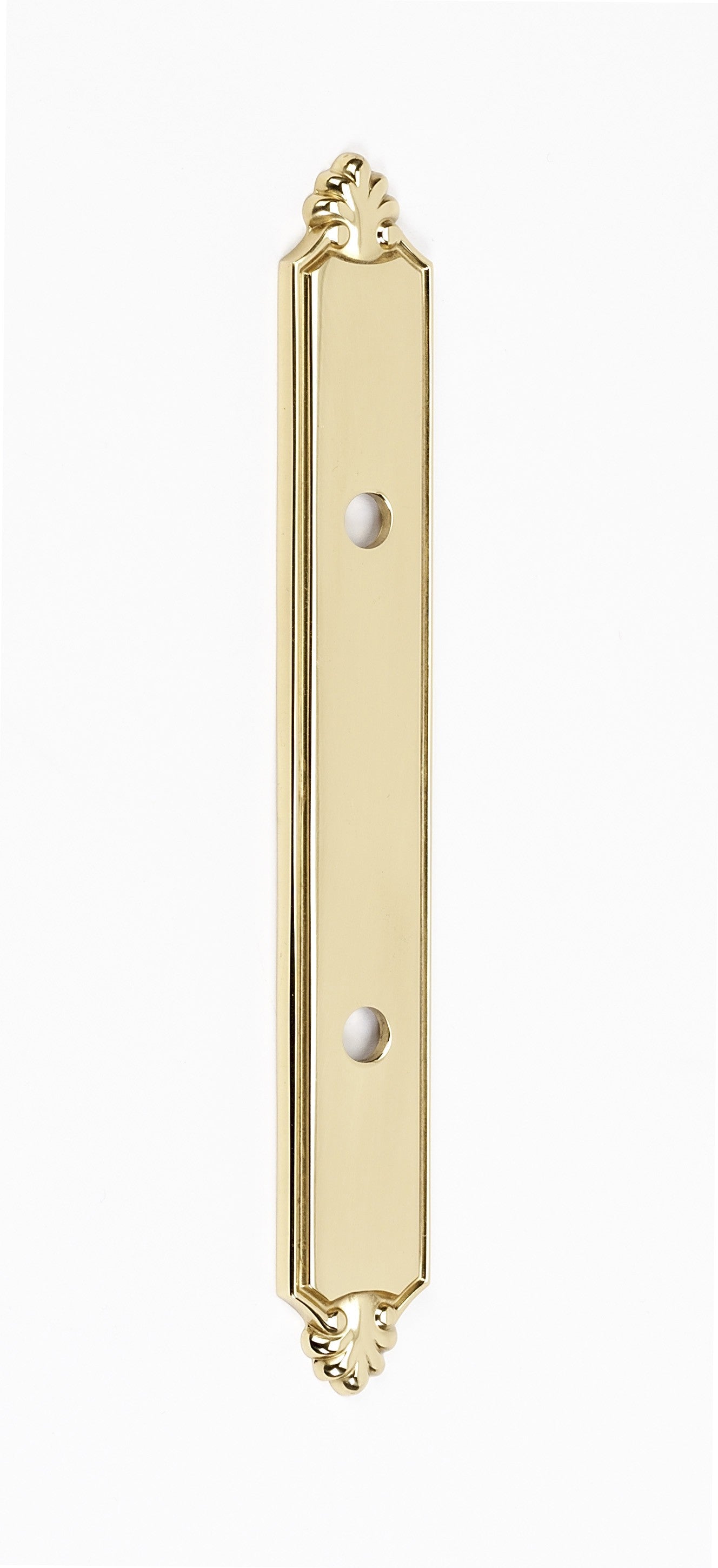 Polished Brass Victorian Pull Back Plate