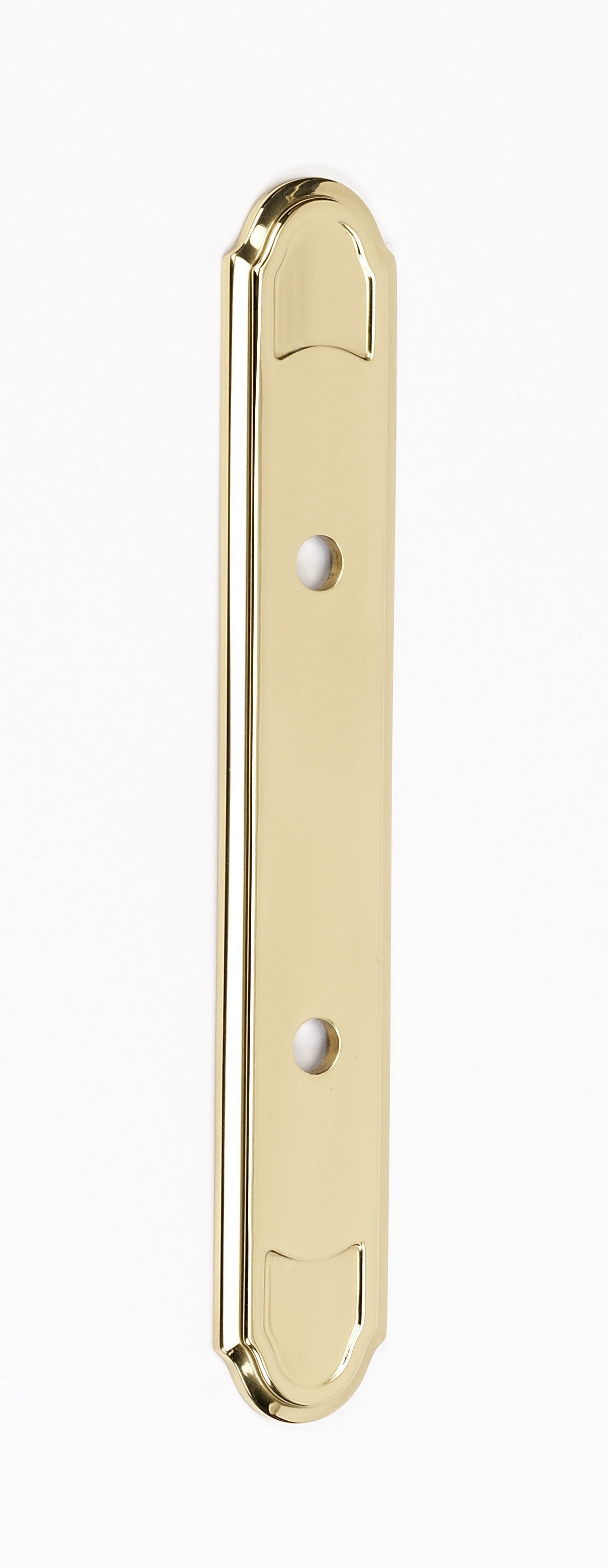 Polished Brass Pull Backplate 3.5"